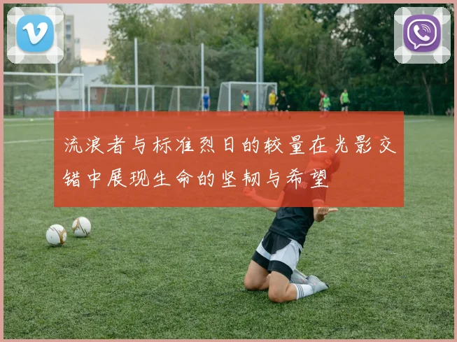 流浪者与标准烈日的较量在光影交错中展现生命的坚韧与希望